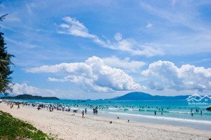 chính chủ bán nhanh đất view biển trà cổ quảng ninh 154m2 full thổ cư, mặt đường 31m gíá 55tr