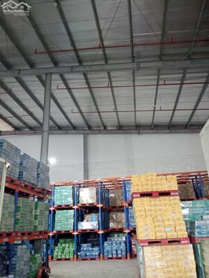 CHO THUÊ KHO CHỨA HÀNG ĐẶC THÙ tại ĐÔNG ANH, HÀ NỘI.