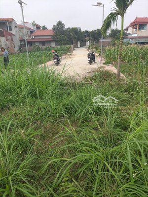 tại đường bờ hồ thanh trí kim anh sóc sơn hn dt87,5m2
mt4,9m ưu điểm 2 mặt tiền lô góc