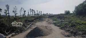 đất nền sổ đỏ- mt 44a- liên hệ ( tâm đoan) để tư vấn và hỗ trợ tham quan.