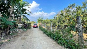 bán đất 625m có 392m đất ở mặt tiền 28m xã bảo hiệu, yên thủy, hòa bình