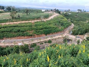 (chính chủ) bán gấp lô đất sinh thái lâm đồng - có suối, hạ tầng hoàn chỉnh - phong thuỷ cực tốt