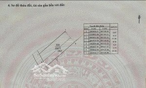 cần tiền bán gấp đất vị trí sau quy hoạch sẽ lên mặt tiền chính xã phú thịnh, kim anh, sóc sơn, hn