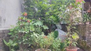 bán đất giá rẻ ít tiền muốn có đất thì về với em