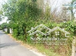 bán đất vườn hòa phú đường bê tông sông lu 2, xe cộ lưu thông dễ dàng