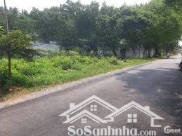 lô đất vườn hòa phú giá tốt, đường phù hợp nghỉ dưỡng