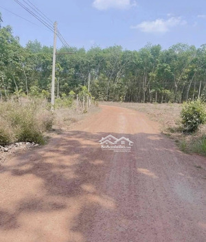 chủ sang nhượng lô đường đất giá rẻ sát bên dh507