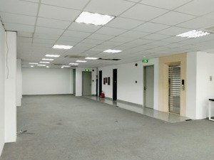 cho thuê văn phòng tại số 10 sông thao, từ 5,2 triệu, từ 18m2, tân bình, hcm, giá ưu đãi