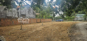 bán đất thổ cư hết 1.548,9m² tại thôn trung dõng 3, vạn bình phù hợp xây nhà vườn, giá 12,4 tỷ