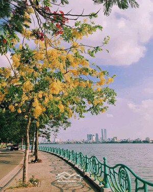 cho thuê nhà mặt phố quảng an view hồ tây cực đẹp, diện tích 250m2 cả sân, mặt tiền 10m thoáng mát