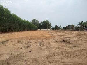 Vị trí Kim Cương, Hắc Dịch, Phú Mỹ 3300M2, 50 Thổ Cư, chỉ 5.5 tỷ