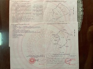 chính chủ bán 2 lô đất nông nghiệp với tổng diện tích sử dụng là 141.256m2 tại ninh phước