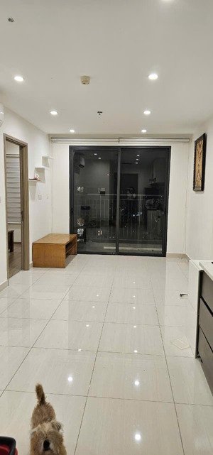 cho thuê căn hộ 60m2 2 pn 2 wc the origami vinhomes grand park