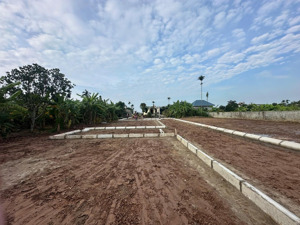 12 lô đất f0 câu thượng - an lão chỉ 665tr /60m2