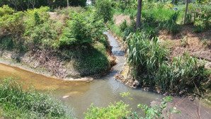 bán đất 1200m2 tại đường 20, , giá siêu hời 990 triệu view hồ trị an tuyệt đẹp