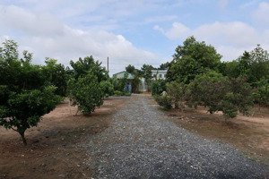 đất lớn view 2 mặt tiền ,xã phước lý - giáp bình chánh. diện tích thực tế: 30m x 45m 1.250m²