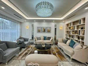 bán lô góc hoa sữa 02 - 30,hướng đn đb, 225m2 đất, xd 485.9m2 view vườn hoa, sông rộng, giá 89.5ty