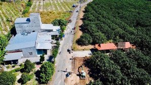 bán 2.100m2 - vườn bưởi - trừ văn thố - bàu bàng - 1.78 tỷ - có thương lượng