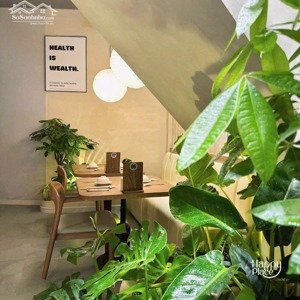 bán gấp trong tháng - bán nhà mặt tiền cao bá nhạ 50m² 3 tầng - giá bán 33 tỷ