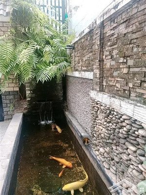 bán nhà mặt phố lê văn thọ phường 8 gò vấp ngang 10, 222m2 cạnh công viên làng hoa