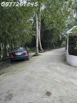 Bán đất kệt Trần Nhân Tông, Cẩm Thanh, đối diện Dế Đồng, DT 260m2, 25tr/m2