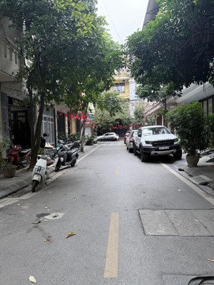 bán nhà phân lô lạc trung, hai bà trưng 70m2 x 4tầng. giá 24.8 tỷ, vỉa hè, ô tô kinh doanh vp đỉnh.