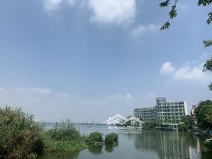 bán mảnh đất vàng 300m2 mặt phố vũ miên, mặt hồ nhánh của hồ tây