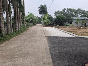 bán lô đất 100m full thổ cư tại đồng trạng, cổ đông vị trí đáng mua