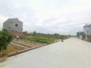 bán đất đẹp giãn dân đình trung ở xuân nộn, 7,85 tỷ, 120m2, mặt tiền 6m