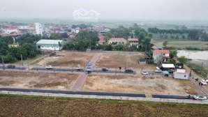 bán đất đấu giá tân ước, dân hoà, thanh oai lõi khu d vin olympic: 93m2 giá 8 tỷ
