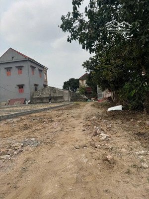 chủ gửi lô đất tại xã tiên tiến huyện phù cừ tỉnh hưng yên diện tích 83,2
giá bán 980 tr