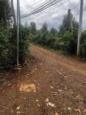 đất cẩm mỹ bảo bình vườn sầu có nhà giá rẻ mặt tiền dài