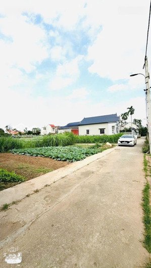 chủ gửi 2 lô đất tại thôn tả hà xã song mai huyện kim động tỉnh hưng yên lk2 diện tích 67,7