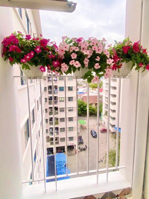 bán căn hộ hud phước long ct3a đối diện dự án sungroup, 2pn 2wc, hướng đông bắc, giá 2,488 tỷ