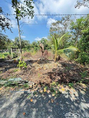 bán đất 210 m2 đường nguyễn văn linh 650 triệu