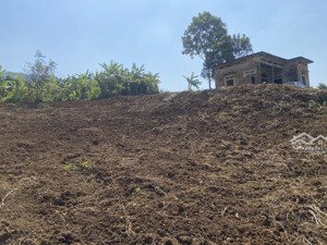 đất trang trại nghỉ dưỡng làm vườn xã hợp phong, cao phong, hòa bình