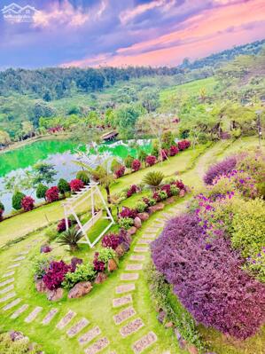 ĐẤT BẢO LỘC, VÙNG ĐẤT MỚI PHÙ HỢP ĐẦU TƯ SINH LỜI GIÁ TỪ 1 TỶ 2