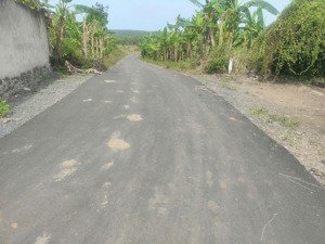 đất sào đường nhựa giá rẽ chỉ 300triệu /1 sào gần khu dân cư. lh0989250911