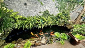 (ncc) cho thuê nhà sân vườn 200m2 - gần trương quang được, khu nam hòa xuân