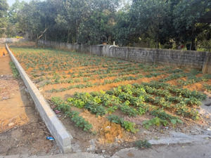 cần bán đất lương sơn hòa bình (giáp hà nội)