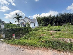 đất tp. hcm - sau lưng chợ an linh 424m2 (100m2 thổ) bao sổ 530tr , cách dh507 đúng 150m