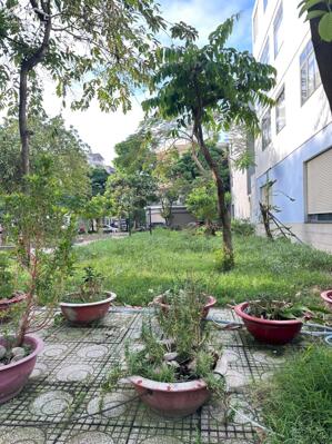 Siêu Phẩm Đất Mặt Tiền Đường 7m – Ngang 5m Dài 24m – Trung Tâm Thủ Dầu Một