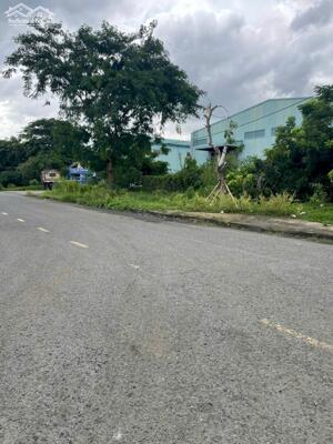 bán kho xưởng kho khu công nghiêp Tân Kim , Huyện Cần Giuộc , Tỉnh Long An