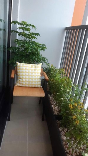 rổ hàng cho thuê căn hộ safira khang điền nhiều căn đẹp độc quyền