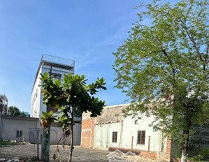 bán đất 269m2 mt phạm quang ảnh, gần nguyễn văn thoại, chợ an hải đông, sơn trà