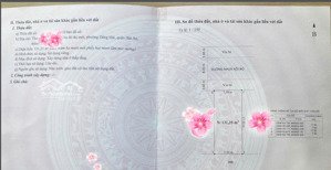 bán lô đất tái định cư vườn hồng 131,25m2, gần cầu vượt đông hải, chợ lũng