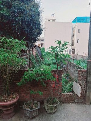 bán đất mai lâm đông anh vị trí hiếm không có nhiều lô tương tự