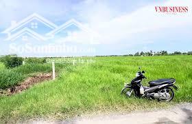 Đất nền thổ cư 100m² tại Cần Đước, khu vực dân cư đông đúc