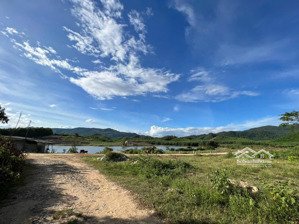 bán lô đất 1.000m² khánh bình gần tỉnh lộ 8 giá chỉ 295 triệu, rẻ nhất khu vực