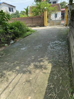 Lô đất 54m2 ở cát lư, Lạc đạo, ô tô vào thoải mái, Đường thông: 0835459289